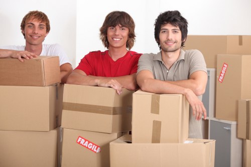 Secure packing of household items